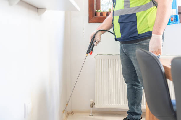 Best Mosquito Control Services  in Pelion, SC
